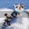 2012-g23-launchvid-iphone-wakeboarding-wakeskating-photos.mp4