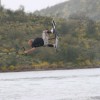 image-wakeboarding-wakeskating-photos.jpg