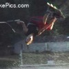 image-wakeboarding-wakeskating-photos.jpg