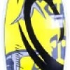 Inland Surfer Wakesurf Boards